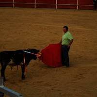 FERIA 2007 (II)