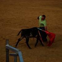 FERIA 2007 (II)