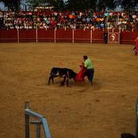 FERIA 2007 (II)