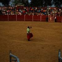 FERIA 2007 (II)