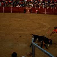 FERIA 2007 (II)