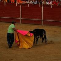 FERIA 2007 (II)