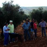 GALGOS Y TIRO AL PLATO