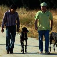 GALGOS Y TIRO AL PLATO