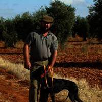 GALGOS Y TIRO AL PLATO