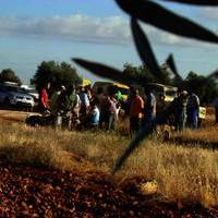 GALGOS Y TIRO AL PLATO