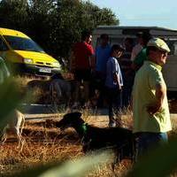 GALGOS Y TIRO AL PLATO