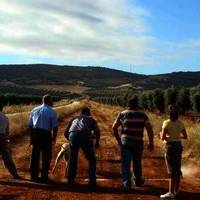 GALGOS Y TIRO AL PLATO