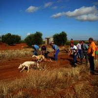 GALGOS Y TIRO AL PLATO