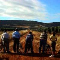 GALGOS Y TIRO AL PLATO