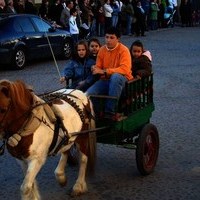 VUELTAS DE SAN ANTÓN 2008