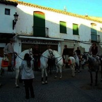 VUELTAS DE SAN ANTÓN 2008