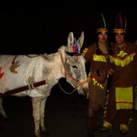 CARNAVAL 2008 (I)