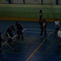 EXHIBICIONES DE KARATE Y PATINAJE