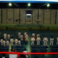 EXHIBICIONES DE KARATE Y PATINAJE