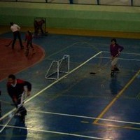 EXHIBICIONES DE KARATE Y PATINAJE