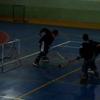 EXHIBICIONES DE KARATE Y PATINAJE