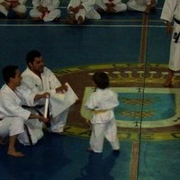 EXHIBICIONES DE KARATE Y PATINAJE