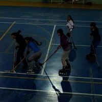 EXHIBICIONES DE KARATE Y PATINAJE