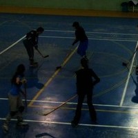 EXHIBICIONES DE KARATE Y PATINAJE