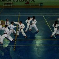 EXHIBICIONES DE KARATE Y PATINAJE