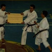 EXHIBICIONES DE KARATE Y PATINAJE