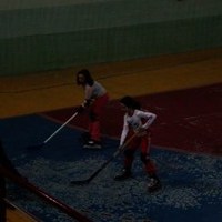 EXHIBICIONES DE KARATE Y PATINAJE