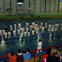 EXHIBICIONES DE KARATE Y PATINAJE