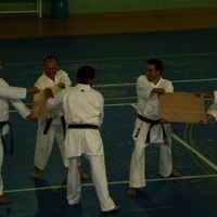 EXHIBICIONES DE KARATE Y PATINAJE