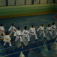 EXHIBICIONES DE KARATE Y PATINAJE