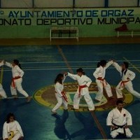 EXHIBICIONES DE KARATE Y PATINAJE