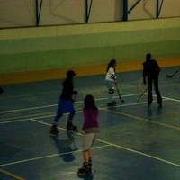 EXHIBICIONES DE KARATE Y PATINAJE