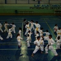 EXHIBICIONES DE KARATE Y PATINAJE