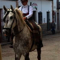 ACTOS DE LA XLII FIESTA DE PRIMAVERA. ROMERÍA Y OFRENDA FLORAL I