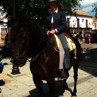 ACTOS DE LA XLII FIESTA DE PRIMAVERA. ROMERÍA Y OFRENDA FLORAL I