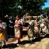 ACTOS DE LA XLII FIESTA DE PRIMAVERA. ROMERÍA Y OFRENDA FLORAL II