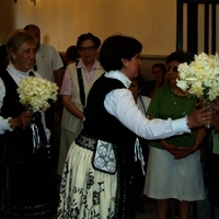 ACTOS DE LA XLII FIESTA DE PRIMAVERA. ROMERÍA Y OFRENDA FLORAL III