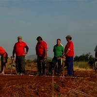 GALGOS FERIA 2011