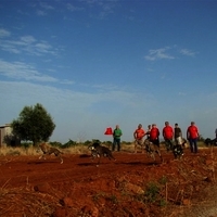 GALGOS FERIA 2011