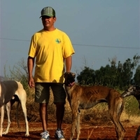 GALGOS FERIA 2011