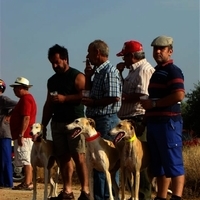 GALGOS FERIA 2011