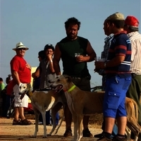 GALGOS FERIA 2011