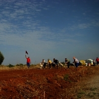 GALGOS FERIA 2011