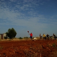 GALGOS FERIA 2011