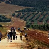 GALGOS FERIA 2011