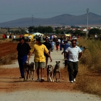 GALGOS FERIA 2011