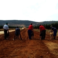 GALGOS FERIA 2011