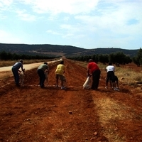 GALGOS FERIA 2011