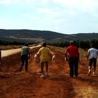 GALGOS FERIA 2011