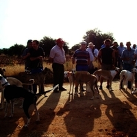 GALGOS FERIA 2011